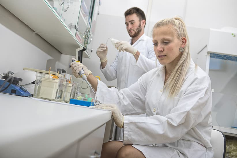 FVZ-laboratoře (2)